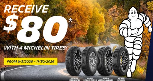 Michelin Rebate